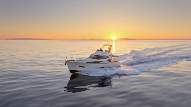 Mangusta 108